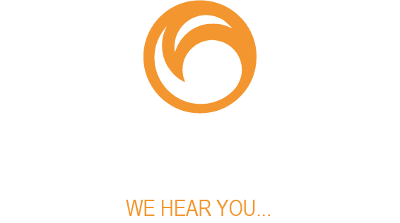 NameAudio Logo
